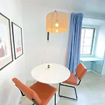 Vibrant Ii 세투발