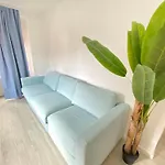 Vibrant Ii 세투발